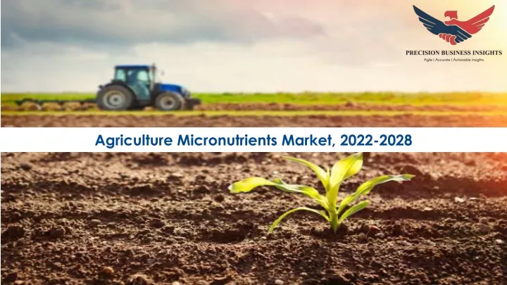 agriculture micronutrients market 2022 2028