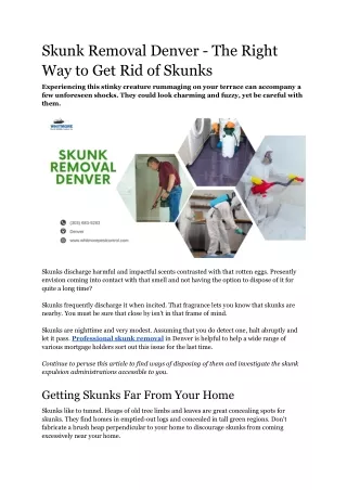 Skunk Removal Denver - The Right Way to Get Rid of Skunks