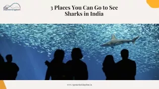 VGP Marine Kingdom - 3 Places to see Sharks