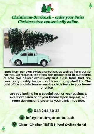christmas tree shop | rotating tree stand zurich