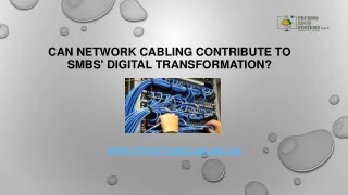 Can Network Cabling Contribute to SMBs' Digital TransFormation