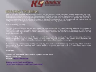 nk9 dog training