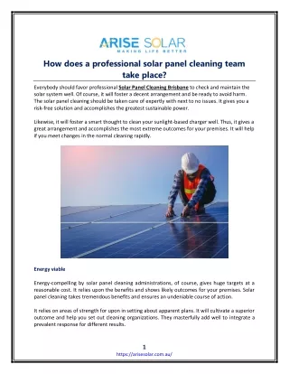 How does a professional solar panel cleaning team take place