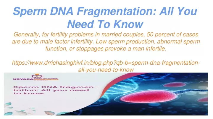 sperm dna fragmentation all you need to know