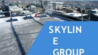 skylin e group