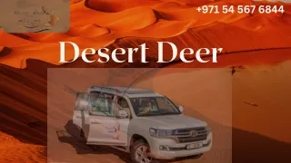 971 54 567 6844