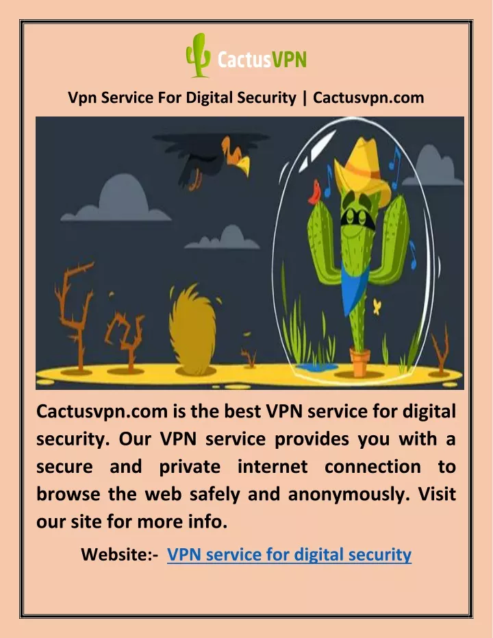 vpn service for digital security cactusvpn com