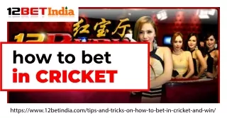 Do you want to get more details about how to bet in cricket? Visit 12 Bet India!