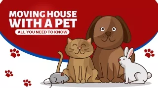 MOVING HOUSE WITH PET, ALL YOU NEED TO KNOW.