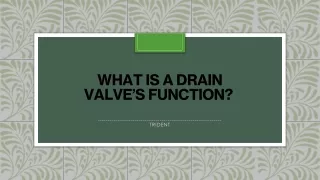 what is a drain valve s function