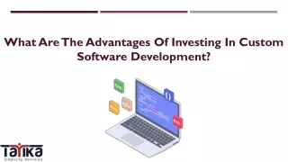 what are the advantages of investing in custom software development