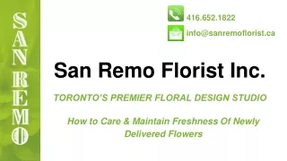 Tips For Flower Care and Maintenance - San Remo Florists Inc.