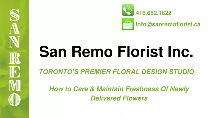 toronto s premier floral design studio