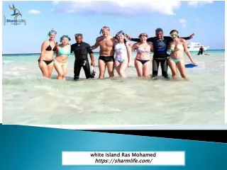 White Island Ras Mohamed