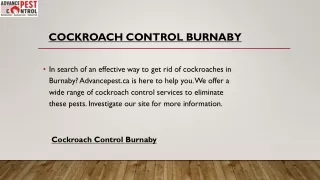 cockroach control burnaby