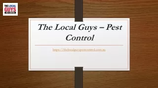 Recommended Pest Control Melbourne | Thelocalguyspestcontrol.com.au