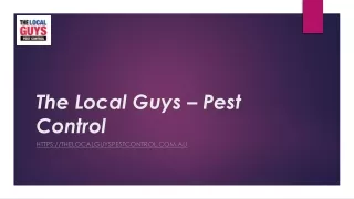 Termite Control Sydney | Thelocalguyspestcontrol.com.au