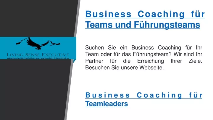 business coaching f r teams und f hrungsteams