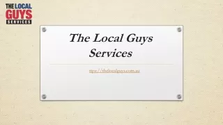 the local guys services