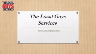 Franchise for Sale Gold Coast | Thelocalguys.com.au
