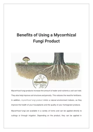 benefits of using a mycorrhizal fungi product
