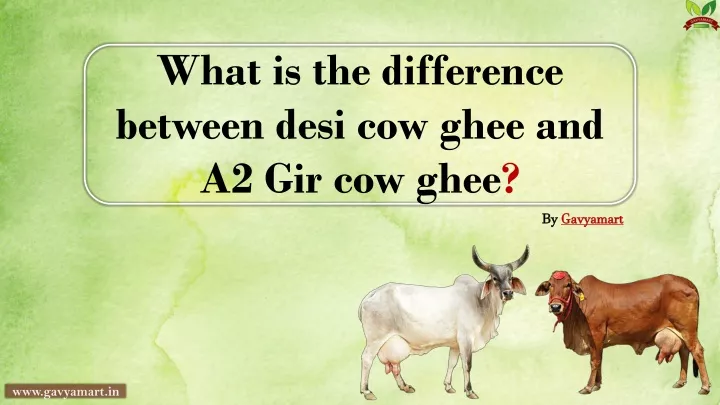 what is the difference between desi cow ghee