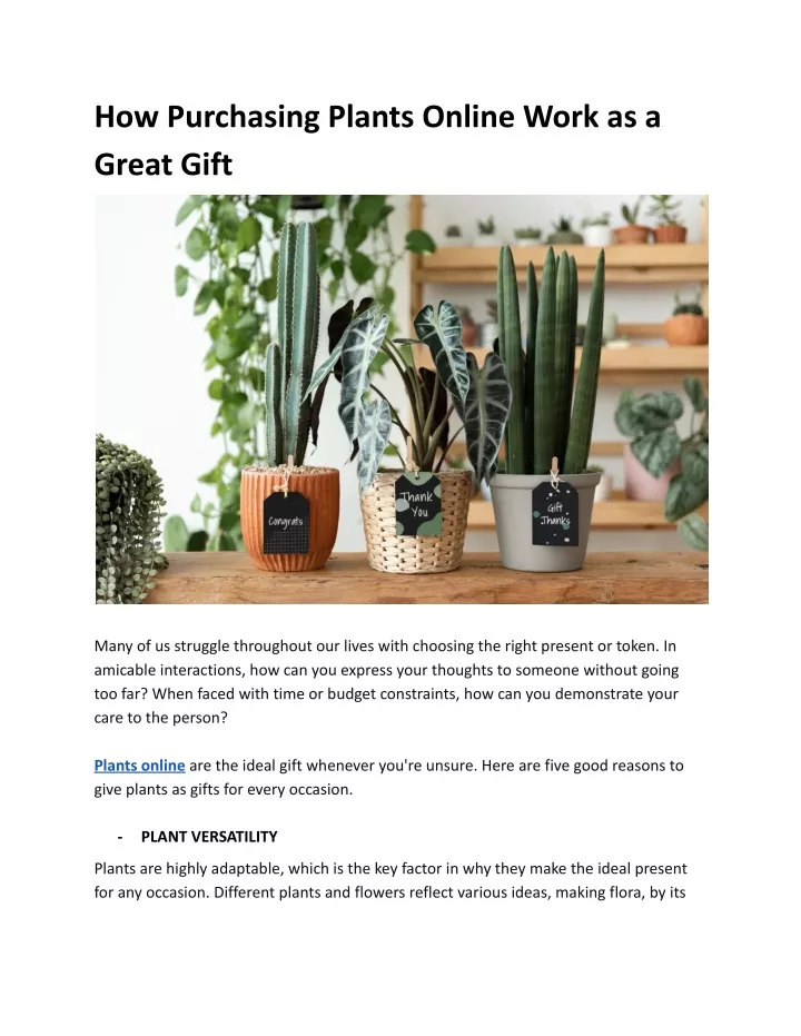 how purchasing plants online work as a great gift