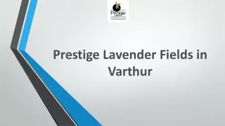 Prestige Lavender Fields in Varthur