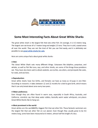 some most interesting facts about great white
