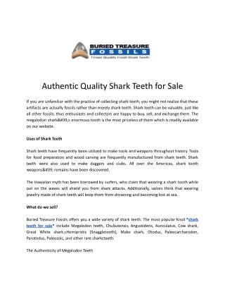 authentic quality shark teeth for sale