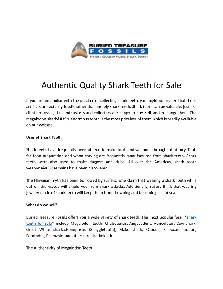 authentic quality shark teeth for sale