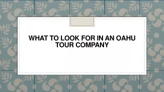 what to look for in an oahu tour company