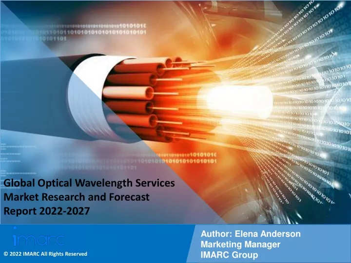 global optical wavelength services market