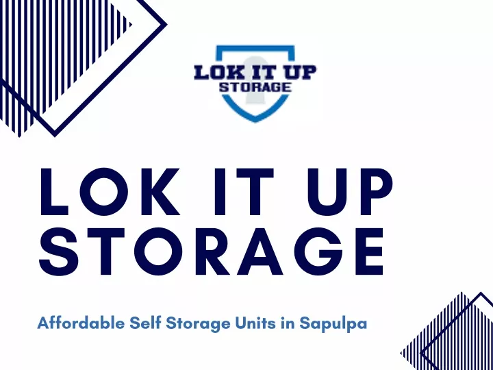 lok it up storage