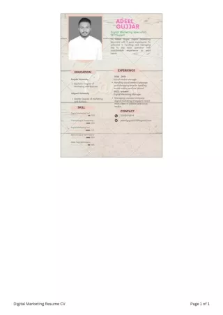 Digital Marketing Resume CV