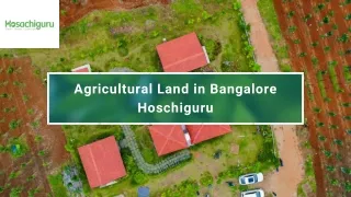 Agricultural Land in Bangalore-Hosachiguru