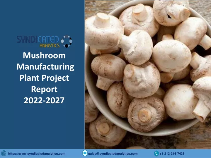 mushroom manufacturing plant project report 2022