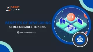 benefits of developing semi fungible tokens