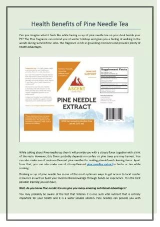 Health Benefits of Pine Needle Tea