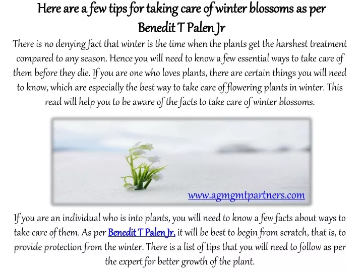 here are a few tips for taking care of winter