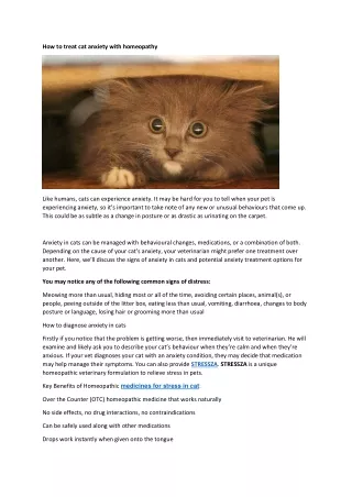 how to treat cat anxiety with homeopathy