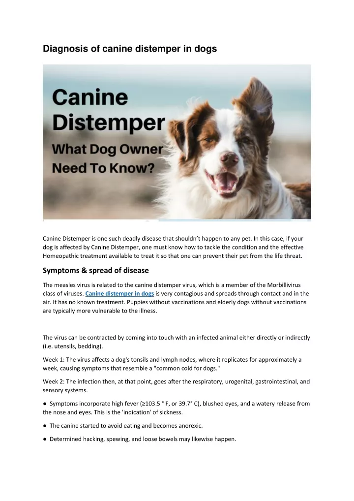 diagnosis of canine distemper in dogs