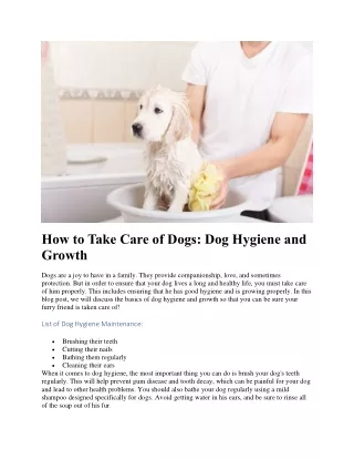 How to Take Care of Dogs Dog Hygiene and Growth