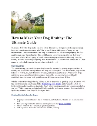 How to Make Your Dog Healthy: The Ultimate Guide | Raw Instincts Mia