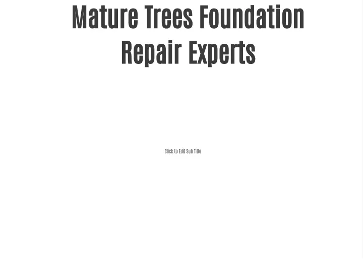 mature trees foundation repair experts