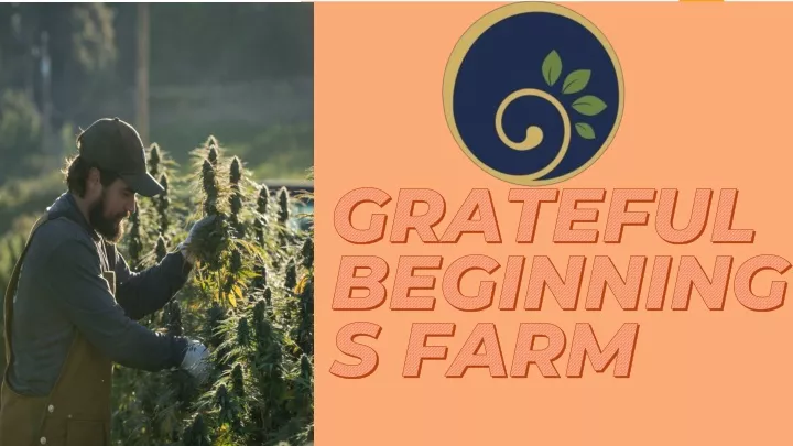 grateful beginnings farm