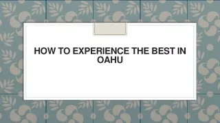 how to experience the best in oahu