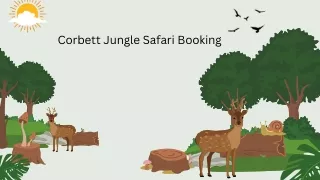 Jim Corbett Safari Booking Price