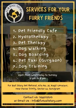 Fur Ball Story (https://www.furballstory.com/product-category/ayurvedic-medicine