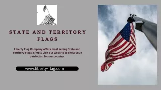 Liberty Flag - State and Territory Flags - Nylon American Flag